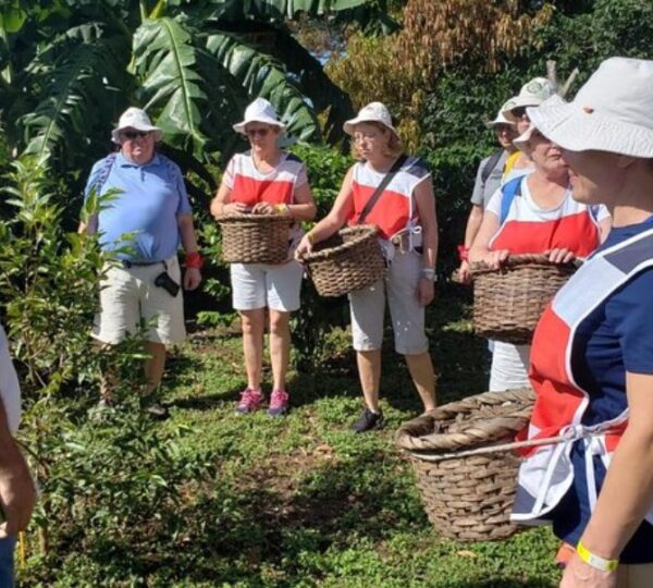 Everything You Need for a Large Group Vacation in Tamarindo, Costa Rica